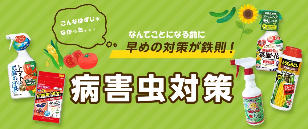 早めの対策が鉄則！夏野菜の病害虫対策