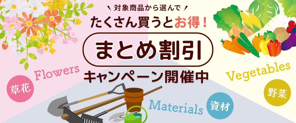 春シーズン 対象商品から選んでたくさん買うとお得！まとめ割引キャンペーン開催中