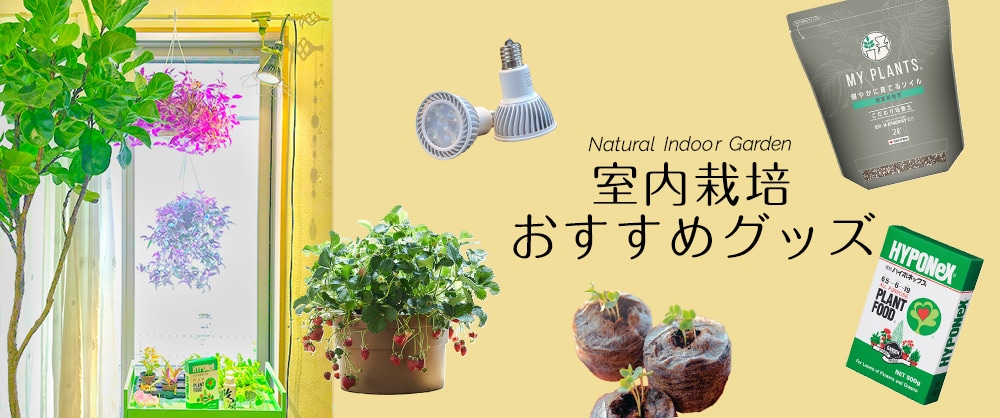 室内栽培おすすめグッズ | 種（タネ）,球根,苗の通販はサカタのタネ