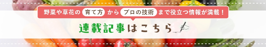 連載特集ページ 連載記事はこちら