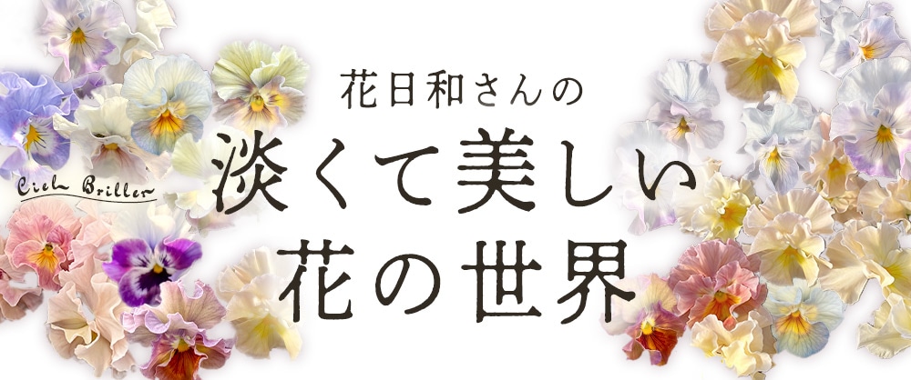 花日和さんの淡くて美しい花の世界