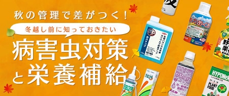秋の管理で差がつく！冬越し前に知っておきたい病害虫対策と栄養補給