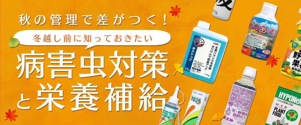 秋の管理で差がつく！冬越し前に知っておきたい病害虫対策と栄養補給