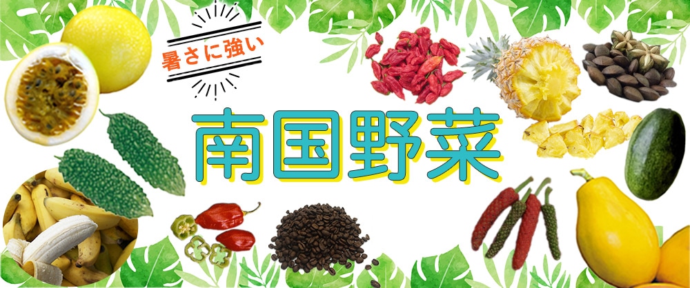 暑さに強い南国野菜