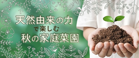 カタログ価計26,400円！昭和切手１７種各10枚ブロック　 裏糊ツヤピカ多数！ 連作障害ブロックW（R）｜種（タネ）,球根,苗,資材,ガーデニンググッズ