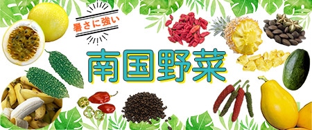 暑さに強い南国野菜