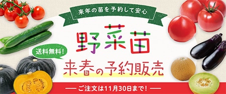 来年の苗を予約してお得に安心　野菜苗 送料無料！来春の予約販売