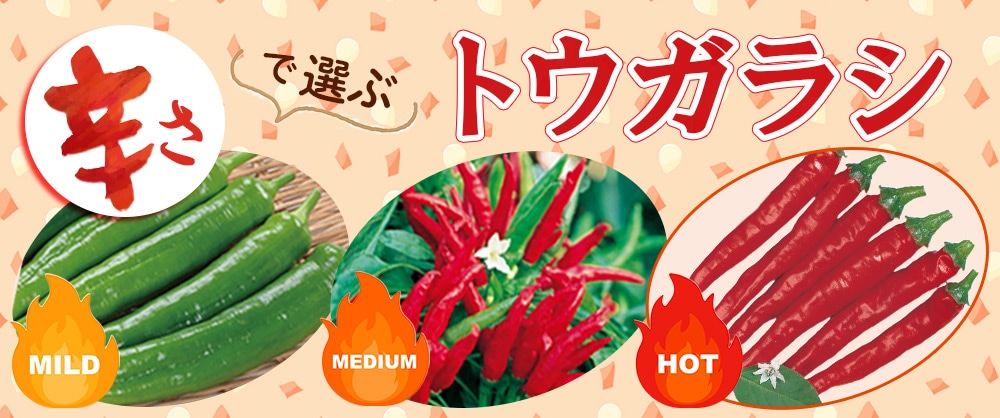 辛さで選ぶトウガラシ