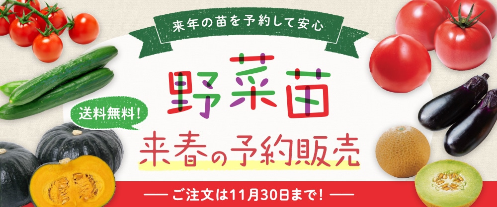 来年の苗を予約してお得に安心　野菜苗 送料無料！来春の予約販売