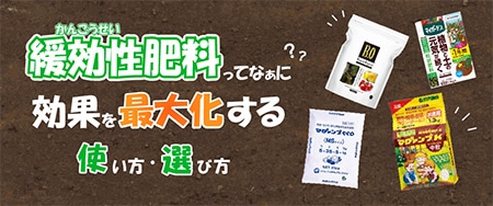緩効性肥料ってなぁに？　効果を最大化する使い方・選び方