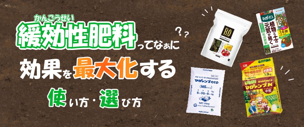 緩効性肥料ってなぁに？　効果を最大化する使い方・選び方