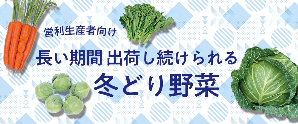 営利生産者向け 長い期間出荷し続けられる冬どり野菜