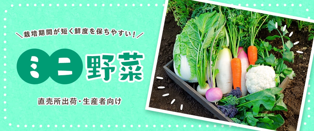 ミニ野菜特集 栽培期間が短く鮮度を保ちやすい！直売所出荷・生産者向け