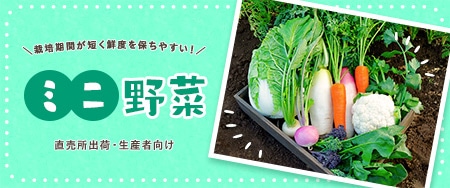 ミニ野菜特集 栽培期間が短く鮮度を保ちやすい！直売所出荷・生産者向け