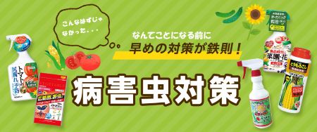 早めの対策が鉄則！夏野菜の病害虫対策