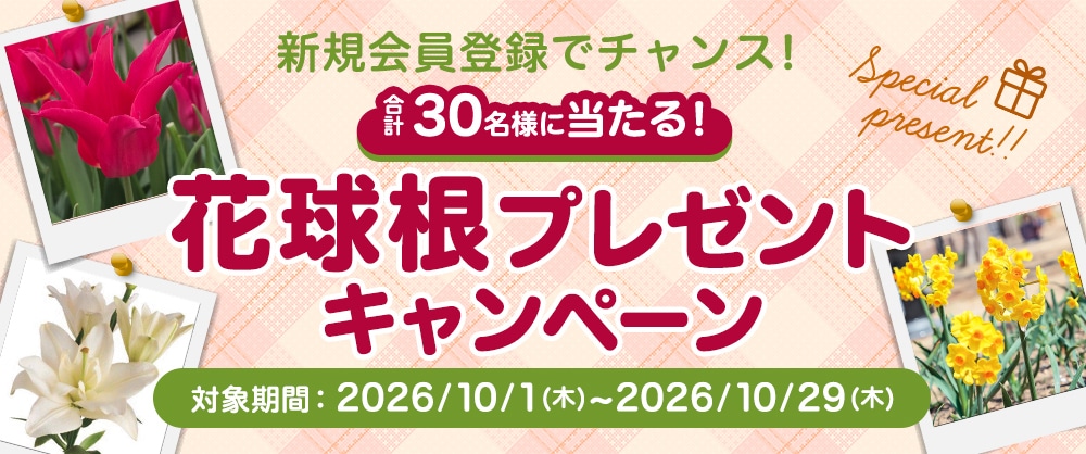 新規登録でチャンス!花球根プレゼントキャンペーン