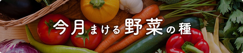 種まき・植え付けカレンダー｜種（タネ）,球根,苗,資材,ガーデニング