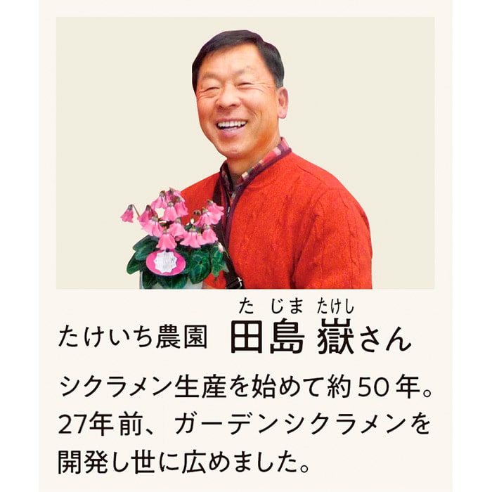 ガーデンシクラメン ジックス 2色セット｜種（タネ）,球根,苗,資材