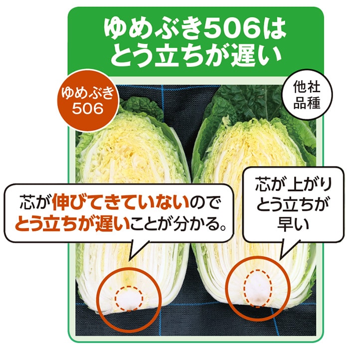 白菜タイニーシュシュ　ペレット5000粒（株）サカタのタネ　価格比較
