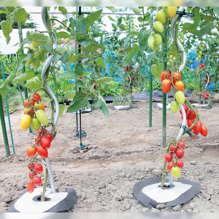 トマト支柱 1800 種 タネ 球根 苗の通販はサカタのタネ オンラインショップ