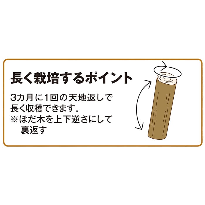 しいたけの木 しいたけのほだ木 種 タネ 球根 苗の通販はサカタのタネ オンラインショップ