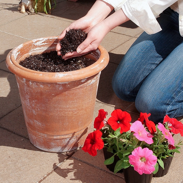 注目ショップ 自然応用科学 14L 土のリサイクル材 まくだけで甦る 園芸用土
