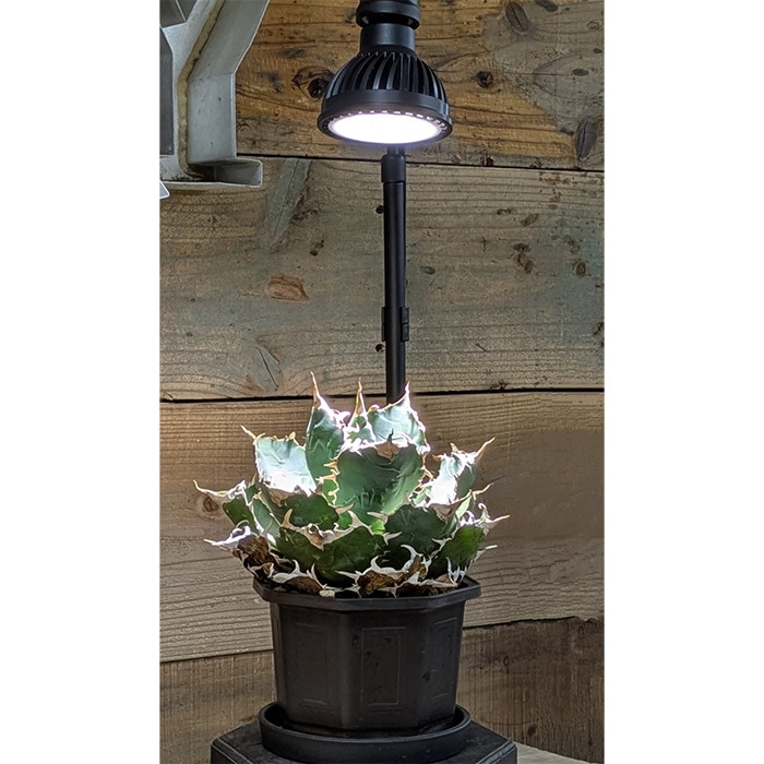 天然素材の天球 Plants NEXLIGHT PAR16｜種（タネ）,球根,苗,資材,ガーデニンググッズ