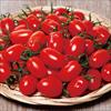ミニトマト プリンセス アイコ