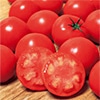 大玉トマト ハウスパルト
