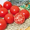 大玉トマト 麗旬