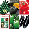 おすすめ果菜の種 5種セット