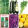 注目の野菜種 5種セット