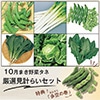 10月まき野菜タネ 厳選見計らいセット