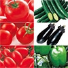 人気の野菜苗 おすすめ6種セット