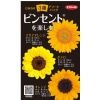 アソートパック ひまわり3種 ビンセント(R)を楽しむ