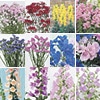 春待ち（R）苗 オールスター 12種セット