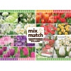 チューリップ mix＆matchお買い得セット