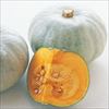 神奈川 伊藤農園カボチャ 雪化粧2玉