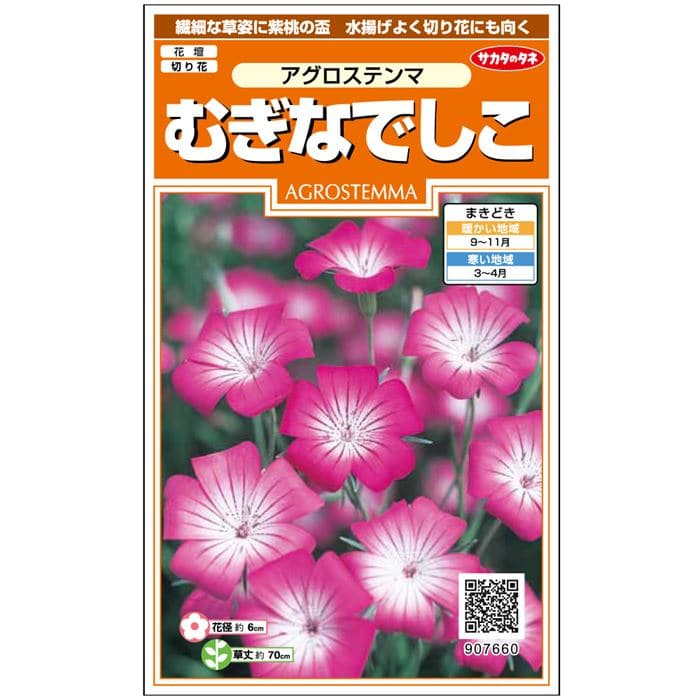 アグロステンマ むぎなでしこ 種 タネ 球根 苗の通販はサカタのタネ オンラインショップ
