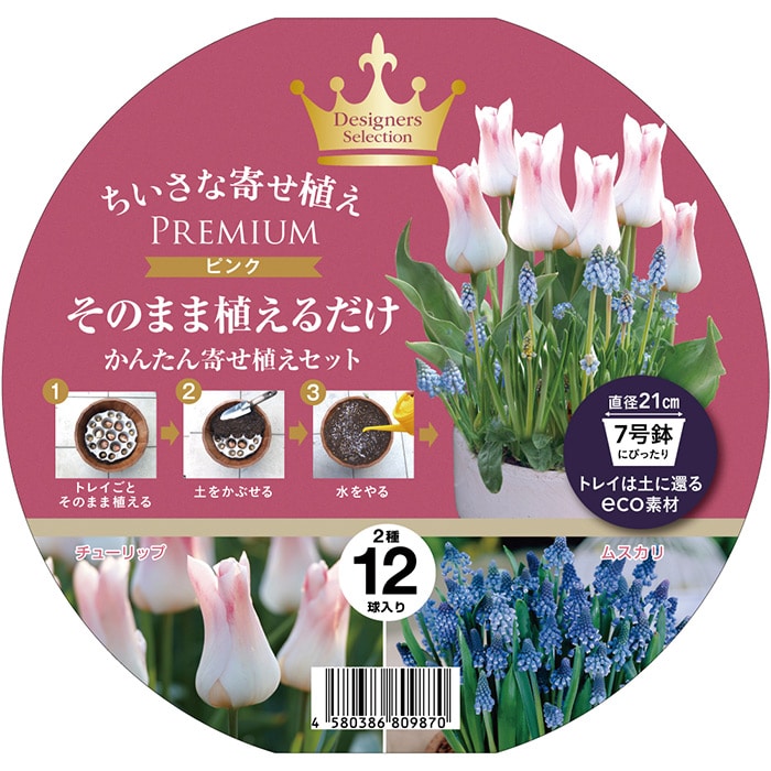 ちいさな寄せ植えプレミアムシリーズ ピンク2種ミックス 種 タネ 球根 苗の通販はサカタのタネ オンラインショップ