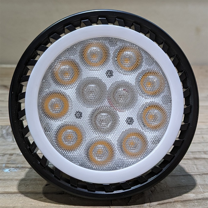 影帝の珠｜影を纏う黒の光球 Plants NEXLIGHT PAR303（電球色）BC95（黒）｜種（タネ）,球根,苗