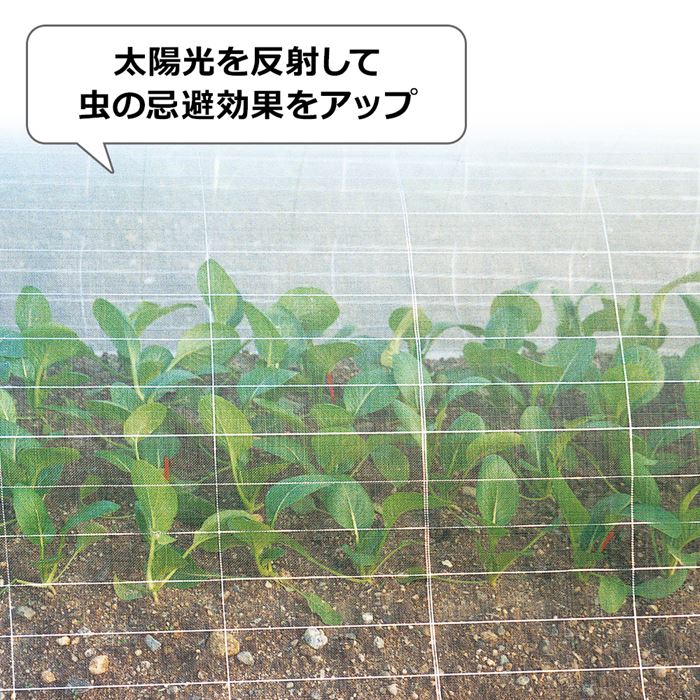 日本ワイドクロスクラーク ウルトラ防虫サンサンネット 原反 180×100m - 2