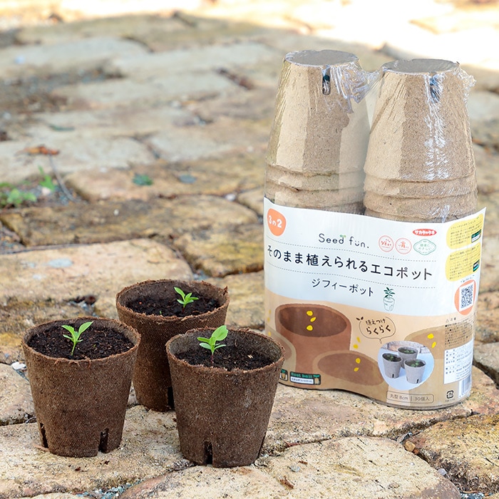 安い ジフィーポット そのまま植えられるエコポット 8cm 30個入 サカタのタネ Seedfun 植えつけらくらく ガーデン用品 