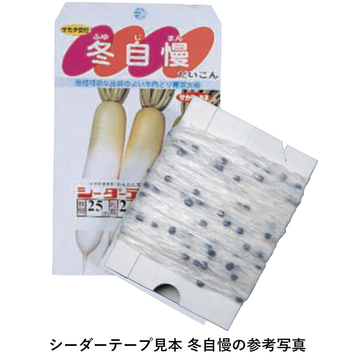 にんじん・じん ニンジン メロディーライン｜種（タネ）,球根,苗,資材