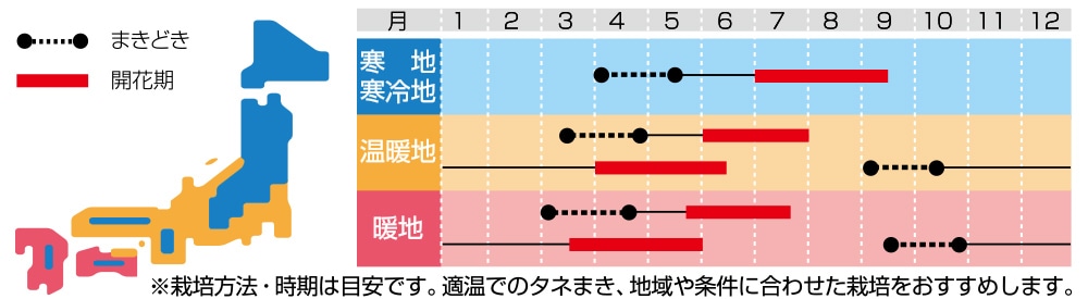 金魚草 パレード ミックス｜種（タネ）,球根,苗の通販はサカタのタネ オンラインショップ