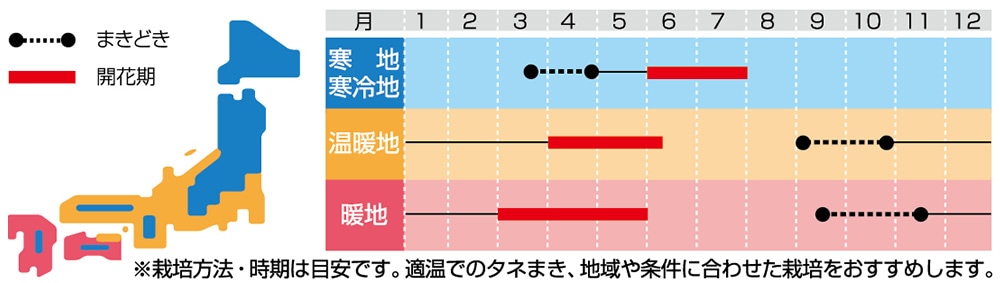 景観用大袋 ネモフィラ ブルー｜種（タネ）,球根,苗の通販はサカタのタネ オンラインショップ