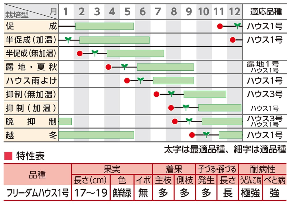 キュウリ フリーダムハウス1号｜種（タネ）,球根,苗の通販はサカタの