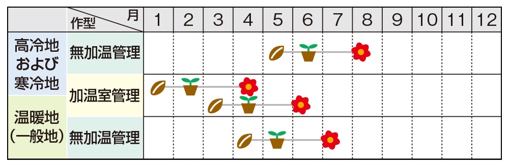 アンゲロニア セレナ ブルー 種 タネ 球根 苗の通販はサカタのタネ オンラインショップ