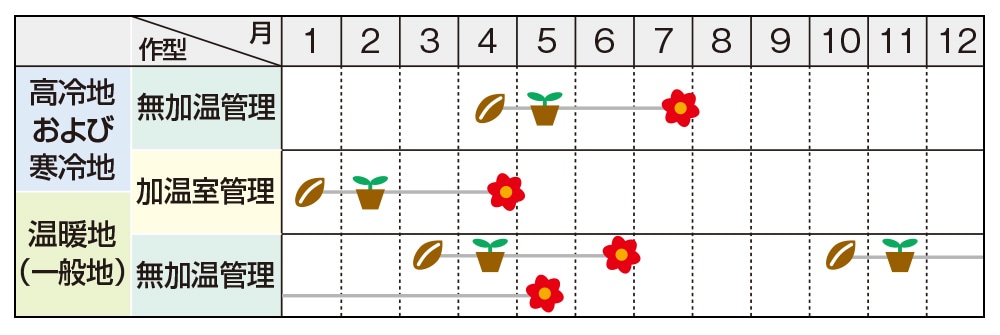 ロベリア リビエラ ブルーアイズ｜種（タネ）,球根,苗の通販はサカタのタネ オンラインショップ