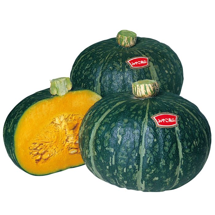 かぼちゃのちゃちゃ 西洋カボチャ・ほっこりえびす| 種・苗・ガーデニング用品の【タキイ